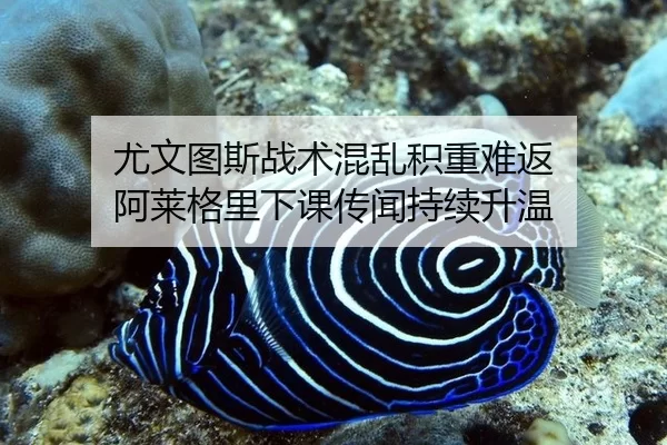 you-wen-tu-si-zhan-shu-hun-luan-ji-zhong-nan-fan-a-lai-ge-li-xia-ke-chuan-wen-chi-xu-sheng-wen-3-985.jpg