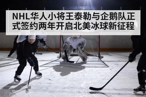 ice hockey game action